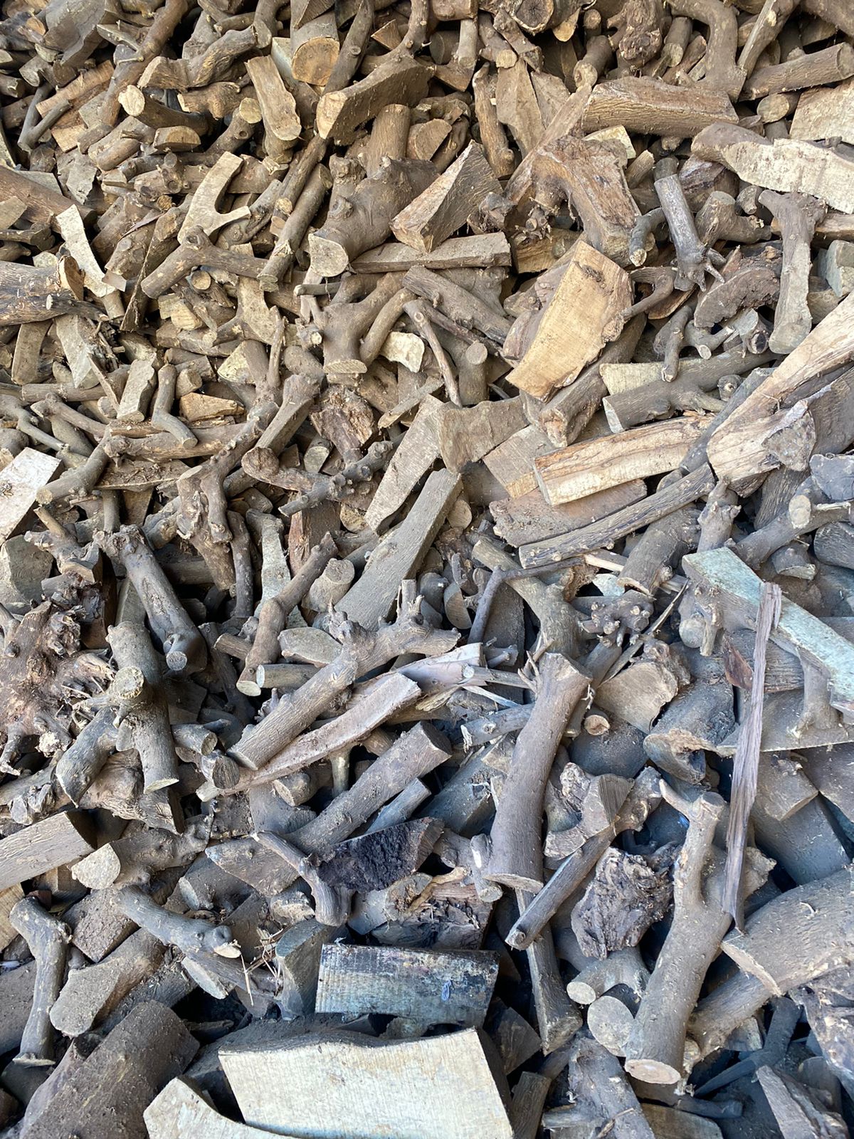 Bois Cheminée d'Oranger 20kg