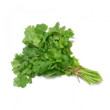 Coriander 1 bunch of Selection