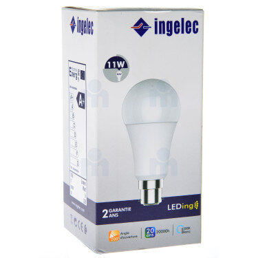 Ampoule LED sphérique INGELEC B22 6W 6500°K LEDG06B22B - VISIONAIR Maroc