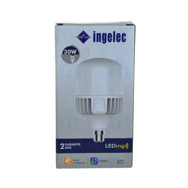 Ampoule LED Accroches Haute Puissance 30W B22 6500K Lumière Blanche  Ingelec