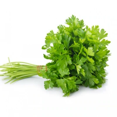 Parsley 1 bunch of Selection