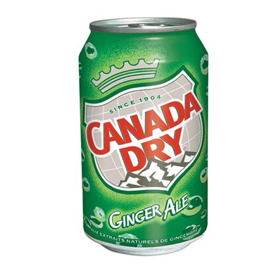 Canada Dry Natural Ginger Extract Soft Drink 330 ml 