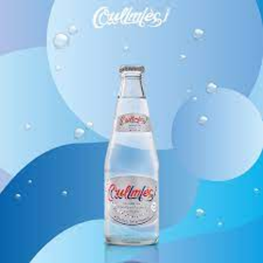 Naturally Sparkling Mineral Water Oulmes 25CL Glass