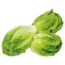 Beldi lettuce 1 piece