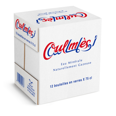 Eau Minérale Naturellement Gazeuse Oulmes verre 75cl