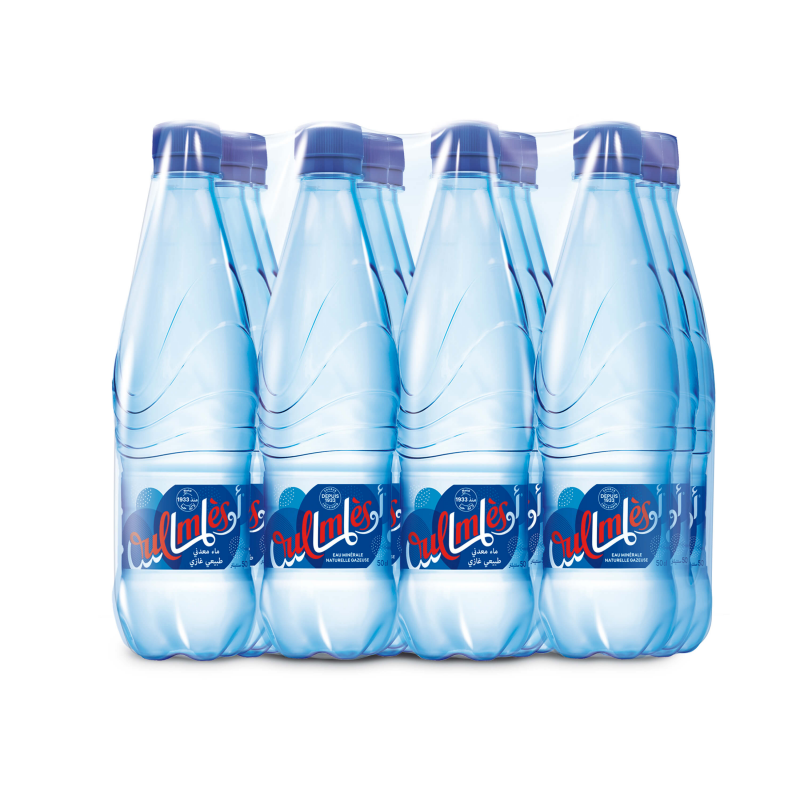 Oulmes Naturally Sparkling Mineral Water 12x50cl