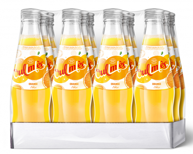 Pack Eau Gazeuse Aromatisées Orange Oulmes 25cl-12unité