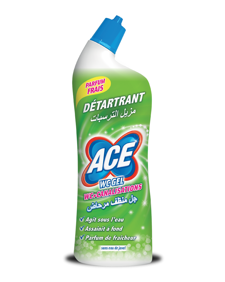 جل إزالة الترسبات من دبليو سي إيس 750 مل