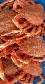 Crabe Entier (Environ 2 Kg)  La Pièce