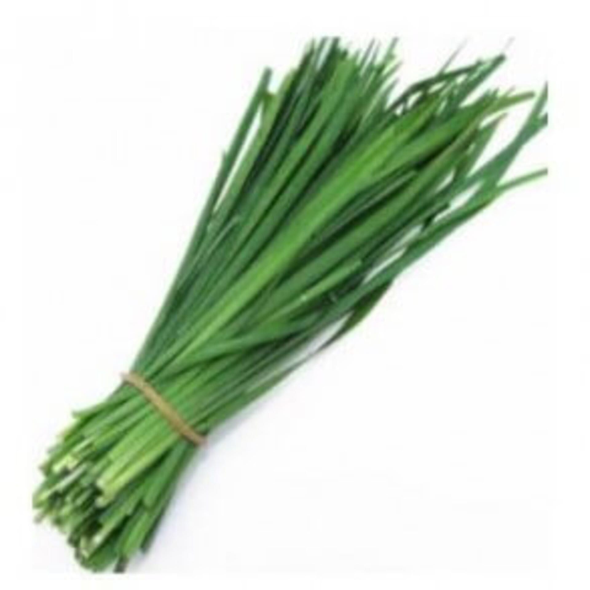Chives 1 bunch