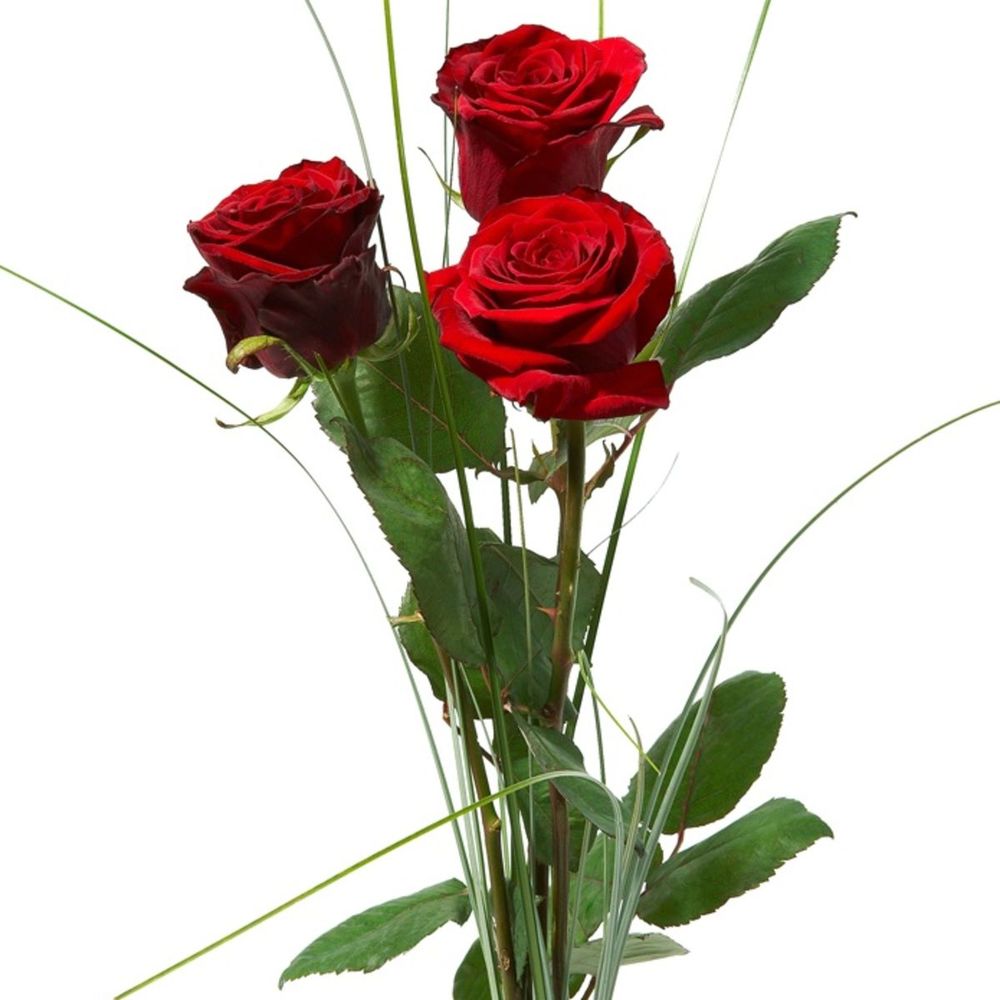 Bouquet of 3 Red Roses