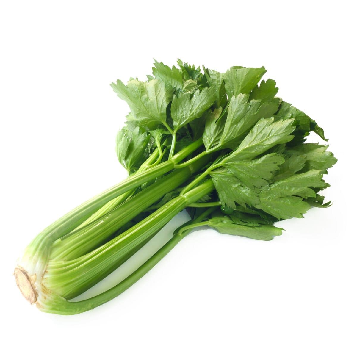 Bunch of Celery