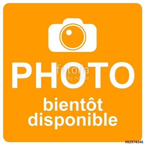 Gouda au Cumin à la Coupe Frico 100 g