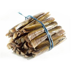 Sea knives 1Kg