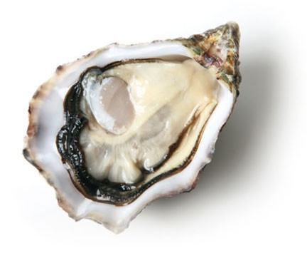 Oysters Caliber n°02 by Piece (Open)