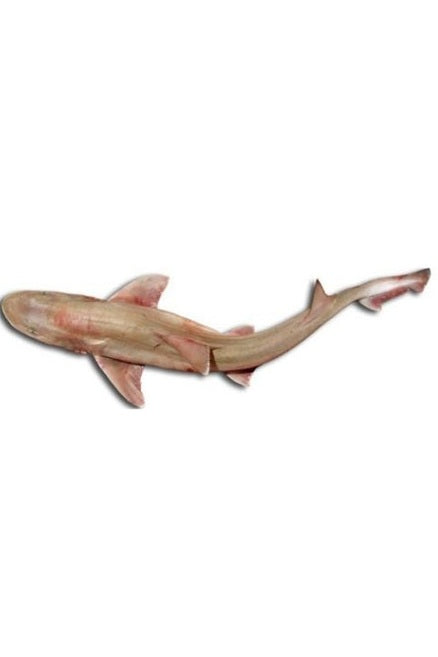 Farkh Shark in Steaks for Tajine 1Kg