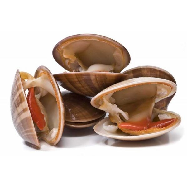 Jumbo Clam 1Kg