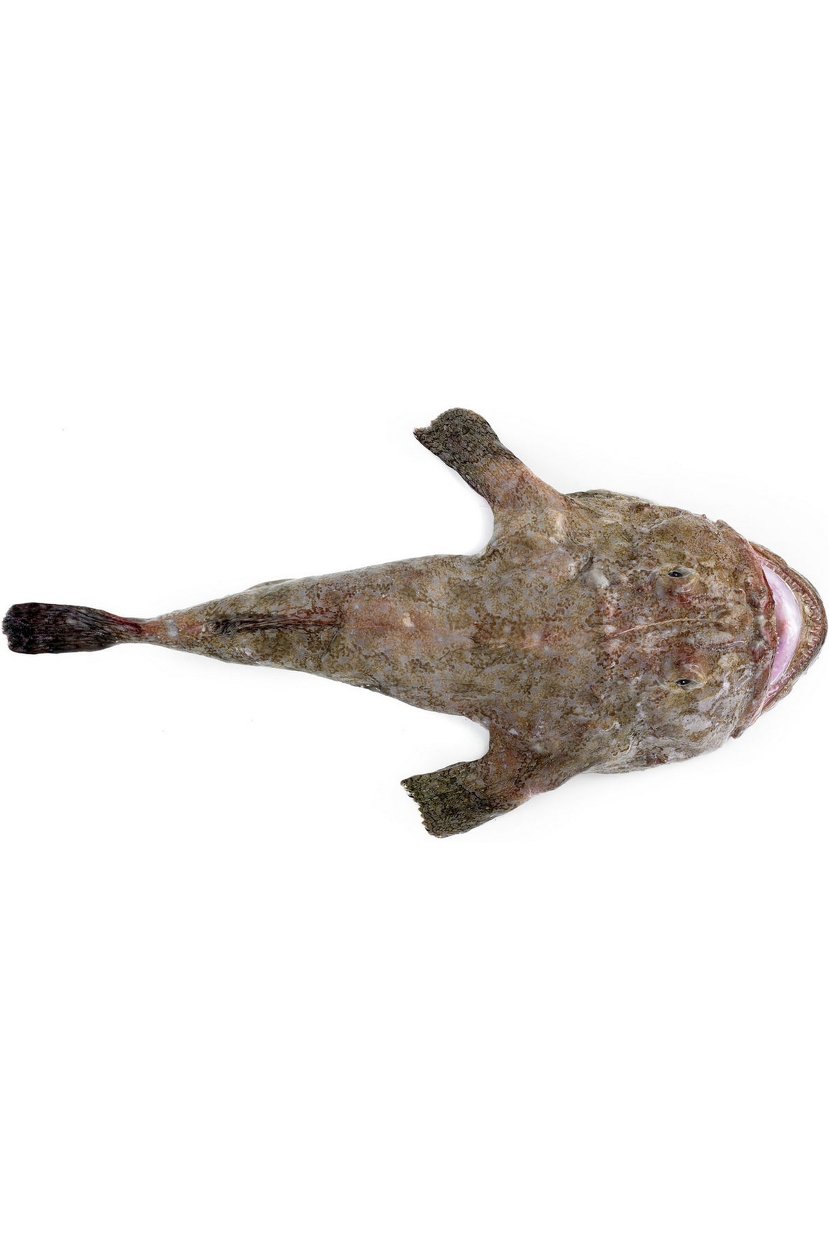 Monkfish Skewers 1kg