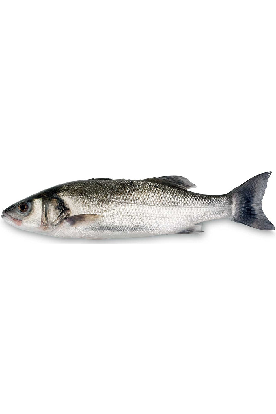 Whole Sea Bass 1Kg
