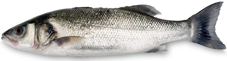 شرائح سمك القاروص مع الجلد 1 كجم