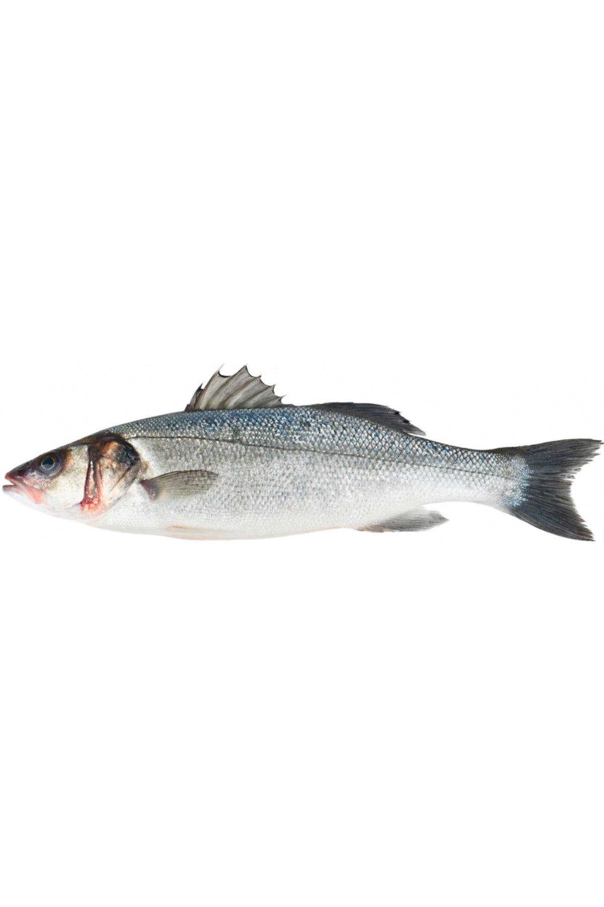 Skinless Wild Sea Bass Fillet 1kg