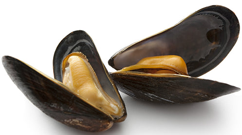 Fresh mussel with shell 1kg 