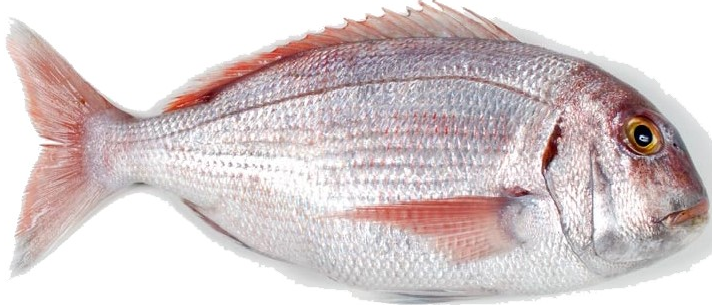 Pageot Chama Skinless Fillet 1kg