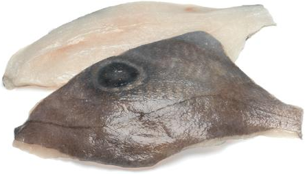 John Dory Filet with Skin 1kg