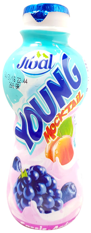 Blackberry and Blackcurrant Young Mocktail Jibal Drinkable Yogurt 260g