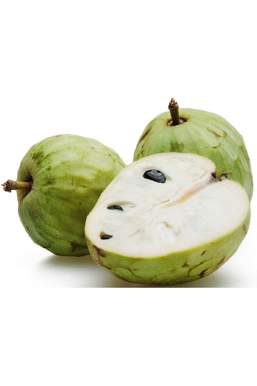 استيراد 1 كيلو