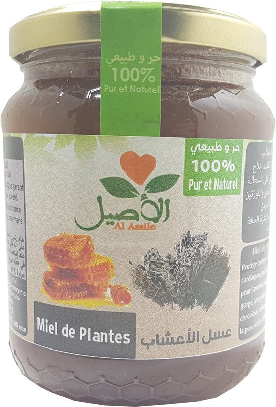 Miel de Plantes 100% Pur et Naturel Al-Assil 500g