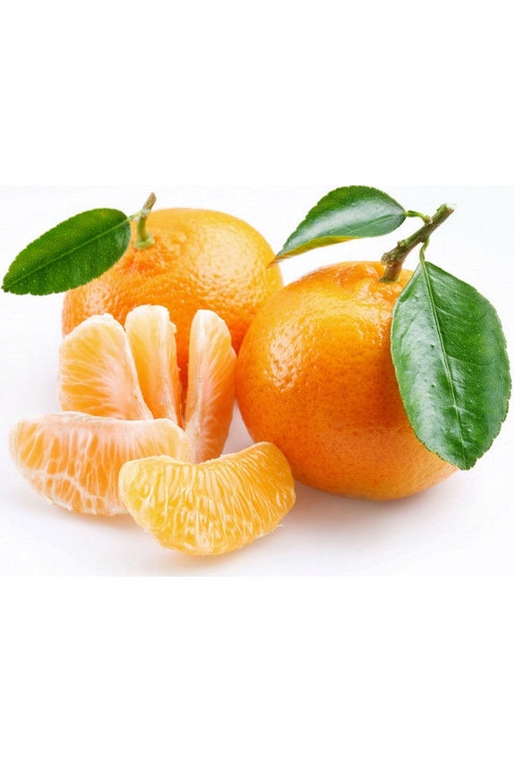 Clémentine Afourer 1 kg