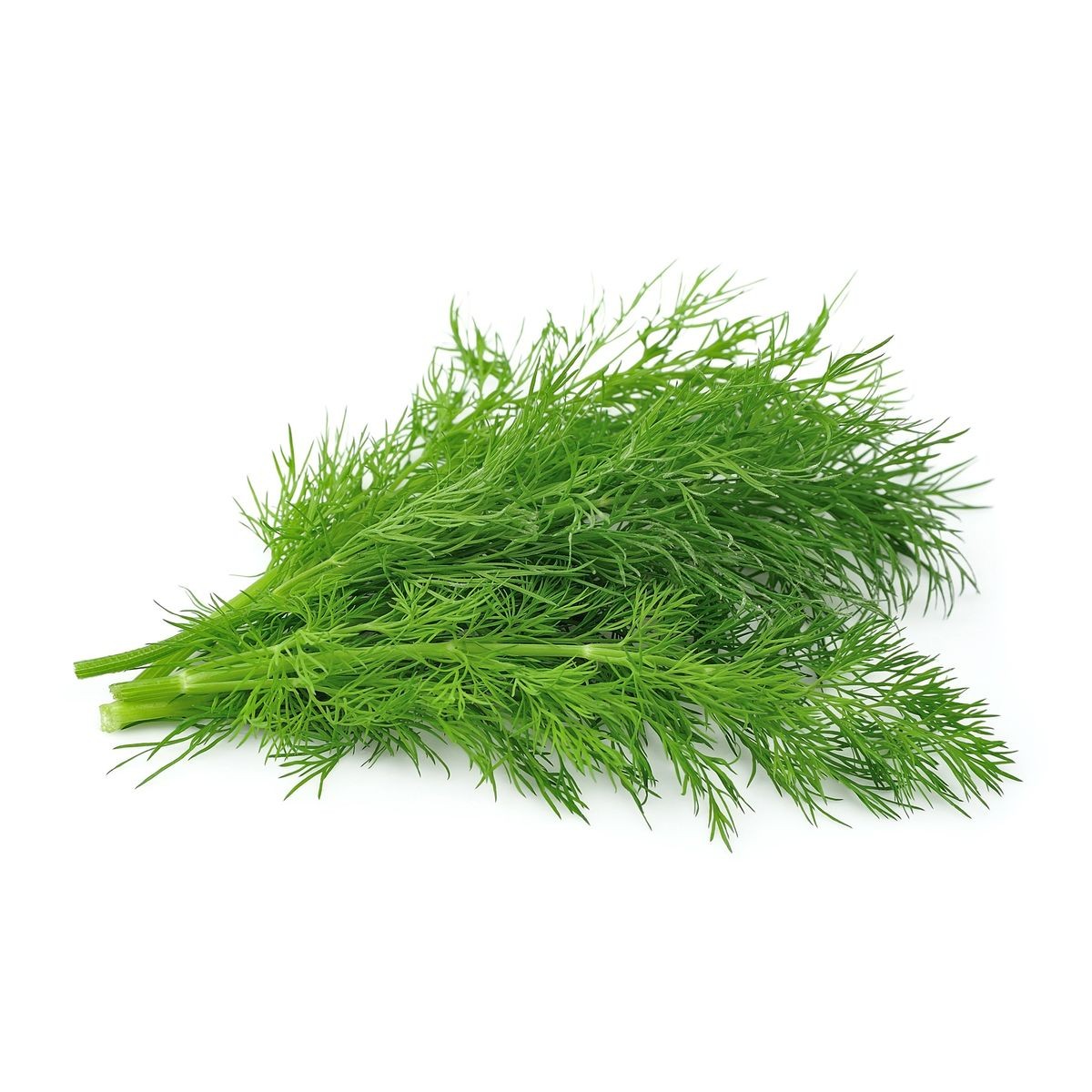Dill The Boot