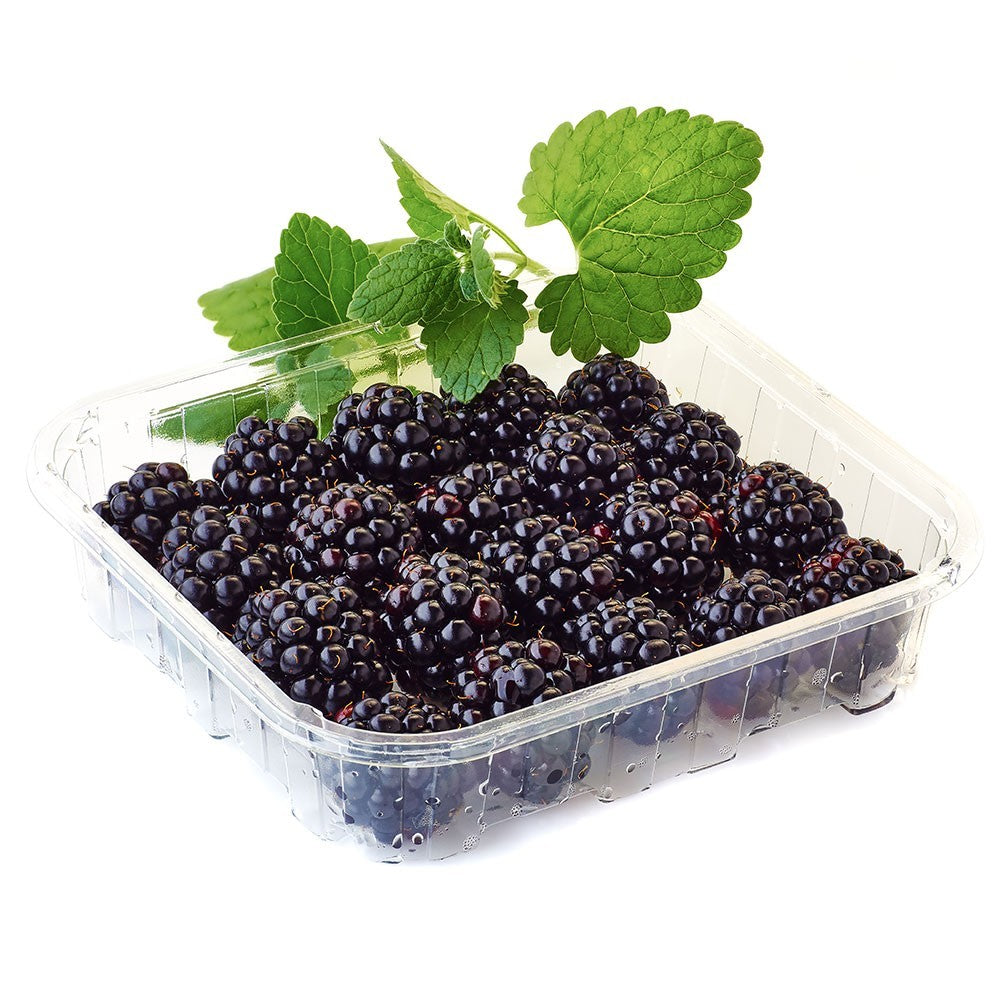 Blackberry Tray 125gr