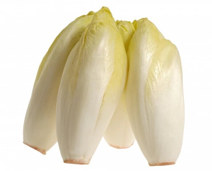 Endives tray 4 Pieces (400-500g)