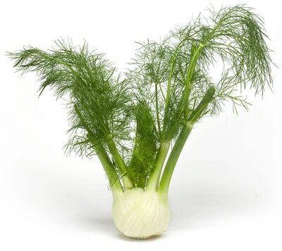 Fenouil 1 kg