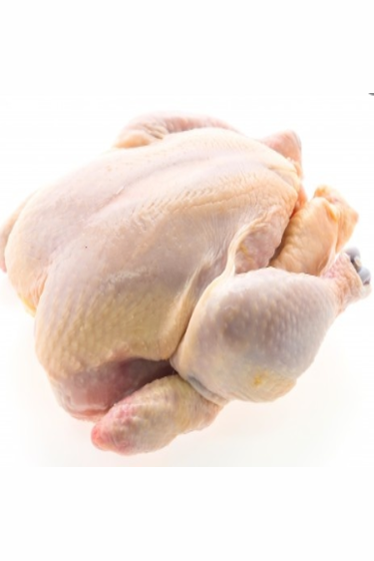 Whole chicken 1 piece from 1.2 to 1.5 Kg