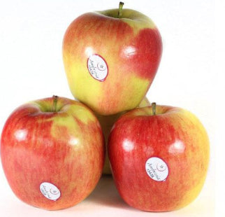 Pink Lady apple 900g tray