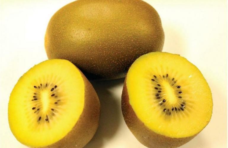 Kiwi Extra Amarillo Importación 1kg