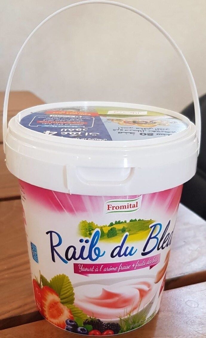 Raib yogurt with Strawberry flavor Fromital 900g