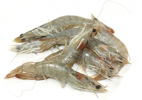 Gray Shrimp 1 Kg