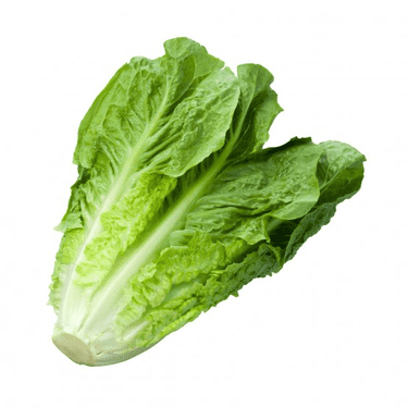 Heart of Romaine Lettuce 1piece