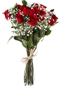 الحب في الزهور الحمراء 6 الورود