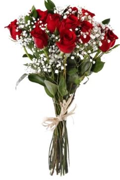 L'amour en fleurs rouges 6 roses