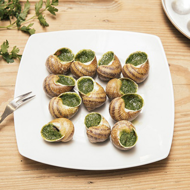 12 Local Snails Stuffed with Garlic, Herbe de Provence and Spices