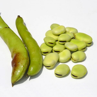 Fèves 1Kg