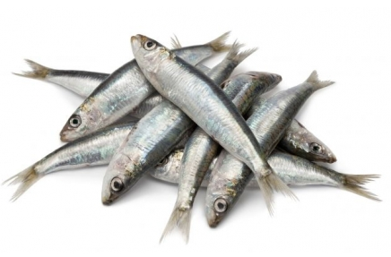 Whole Sardine 1kg