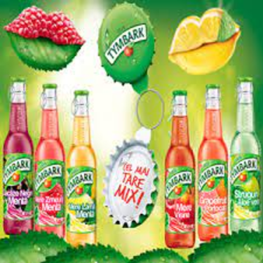 Fruit of the World Drink Mango Mint Tymbark 250 ml