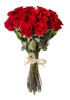 زهور حمراء رومانسية 12 وردة حمراء