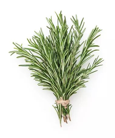 Rosemary 1 bunch